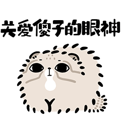 看这里，关爱傻子的眼神