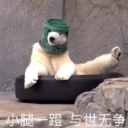 小腿一蹬，与世无争