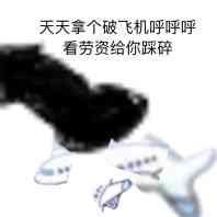 飞机呼呼呼表情包，熊猫天天拿个破飞机呼呼呼的图片