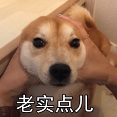你最好给我老实点？听见没有