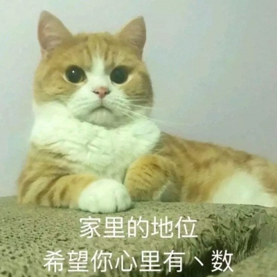 家里的地位，你应该都懂的