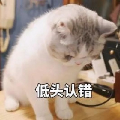 心甘情愿的低头认错