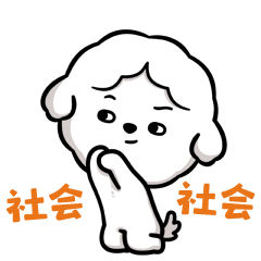 社会人，给你下跪了