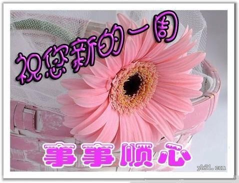 祝你新的一周事事顺心