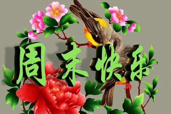 愿周末愉快