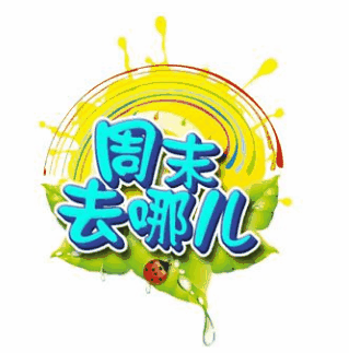 周末去哪儿玩