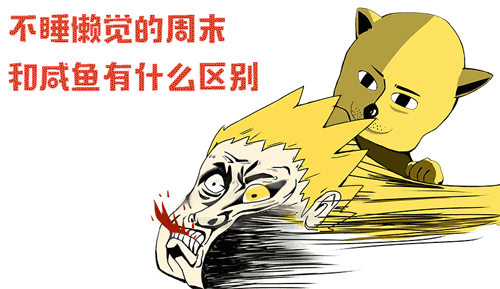 不睡懒觉的周末和咸鱼有什么区别