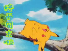 终于周末啦！太兴奋了
