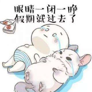 眼睛一闭一睁，假期就过去了