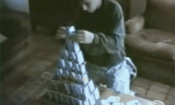 乱窜搞破坏的猫咪