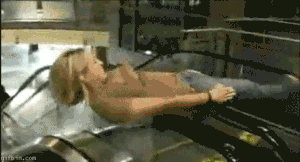 2B青年的快乐生活