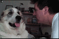 看你妹啊，我打你