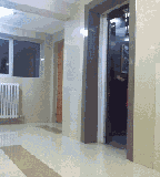 在电梯门口吵架的两个女人