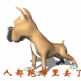东看西看，人都跑哪去了呢