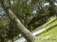 往树上空翻失误摔跟头