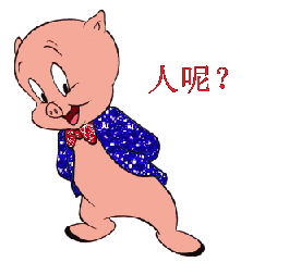 可爱小猪找人，人呢