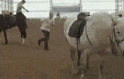 千万不要暴力上马