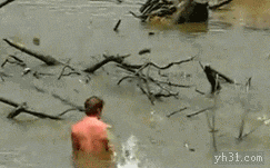 鱼儿从水里跳起来撞人