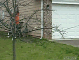 在草地上练空翻，摔得真惨