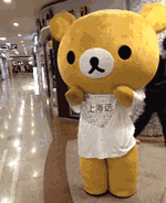 挑逗小熊的女生