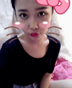 其实我是一只小花猫