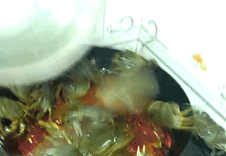 第一次做螃蟹吃，根本hold不住啊