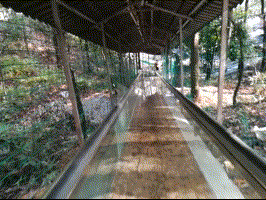 第一视角体验坐滑滑车的感觉