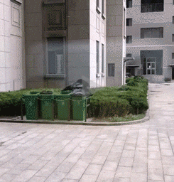 就算是刮台风也阻止不了大妈们的麻将热情
