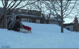 主人下来，让我教教你怎样滑雪