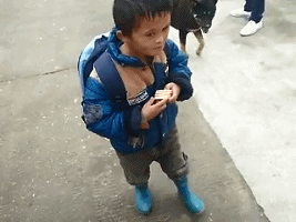 看这相貌，第一眼让你想到谁了呢