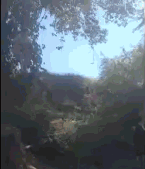第一次下海游泳的女人，激动得爬下了