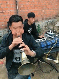 没练过蛤蟆功应该玩不了这乐器