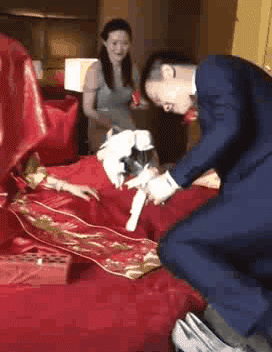 这位仁兄是不是娶到了传说中的咖妃