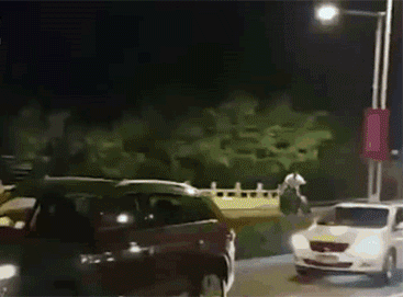 骑着马儿在大马路上狂奔，交警叔叔们都懵了