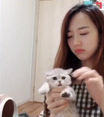 对猫咪要以牙还牙，看你还敢咬人不