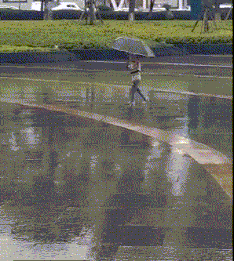 刮台风时最好别出门，雨伞基本无用