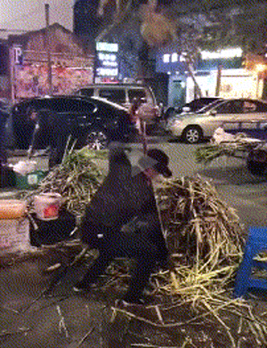 孙猴子附体了？就不能好好的削个甘蔗么