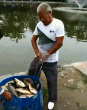 高高兴兴打了一筐鱼，却不一小被淹死了