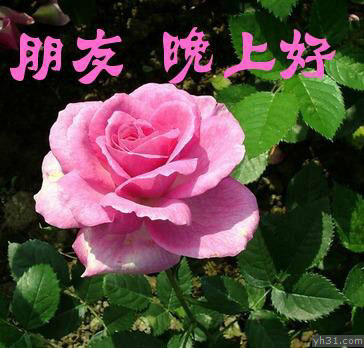 朋友，晚上好哦