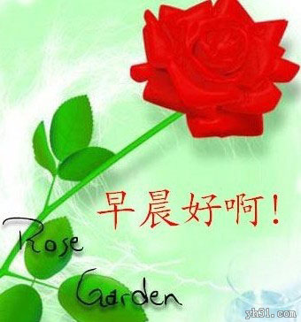 祝你早上好啊