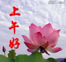 轻轻的一声问候，上午好