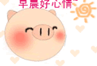 猪猪早晨好心情