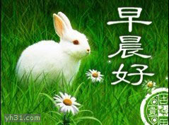 可爱小兔子问候，早晨好