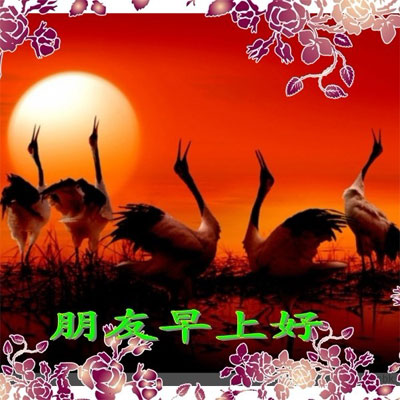 问候朋友，上午好