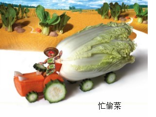 哈哈，偷到一颗大白菜
