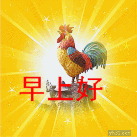 公鸡打鸣，早上好