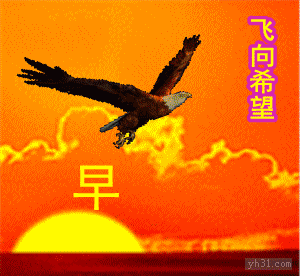 升起的太阳，飞向希望