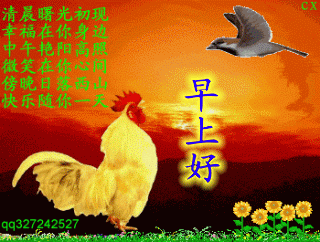 清晨的曙光初现