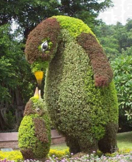 公园里的植物艺术