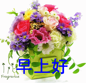 送一束鲜花问候早上好